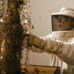 Dewar Highlander Honey sculpture