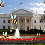 La Maison Blanche dévoile un plan pour sauver les abeilles