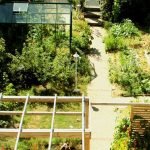 Joseph récolte 300kg de légumes par an dans son petit jardin de ville