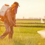 Les abeilles accros aux néonicotinoïdes ?