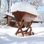 Comment les colonies d'abeilles mellifères survivent-elles à l'hiver ?